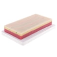 thumbnail image 4 of figatia Modèle d'Entraînement Anatomique Humain 3 Couches pour Laboratoire, 4 of 6