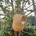 thumbnail image 4 of Large Natural Finch Nest for Cages - Bamboo Handmade Bird House, 4 of 8