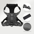 thumbnail image 4 of TUG Dog Harness (Large, Black), 4 of 4
