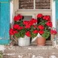 thumbnail image 5 of Galvanized Vase | Galvanized Bucket Galvanized Metal Vase | Rustic Vase Metal Vase Vintage Decorative Flower Vase Farmhouse Decor for Home Kitchen Christmas, 5 of 5