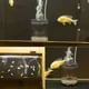 thumbnail image 5 of Colector de succión Hugtrwg automático aspiradora tanque de peces, 5 of 9