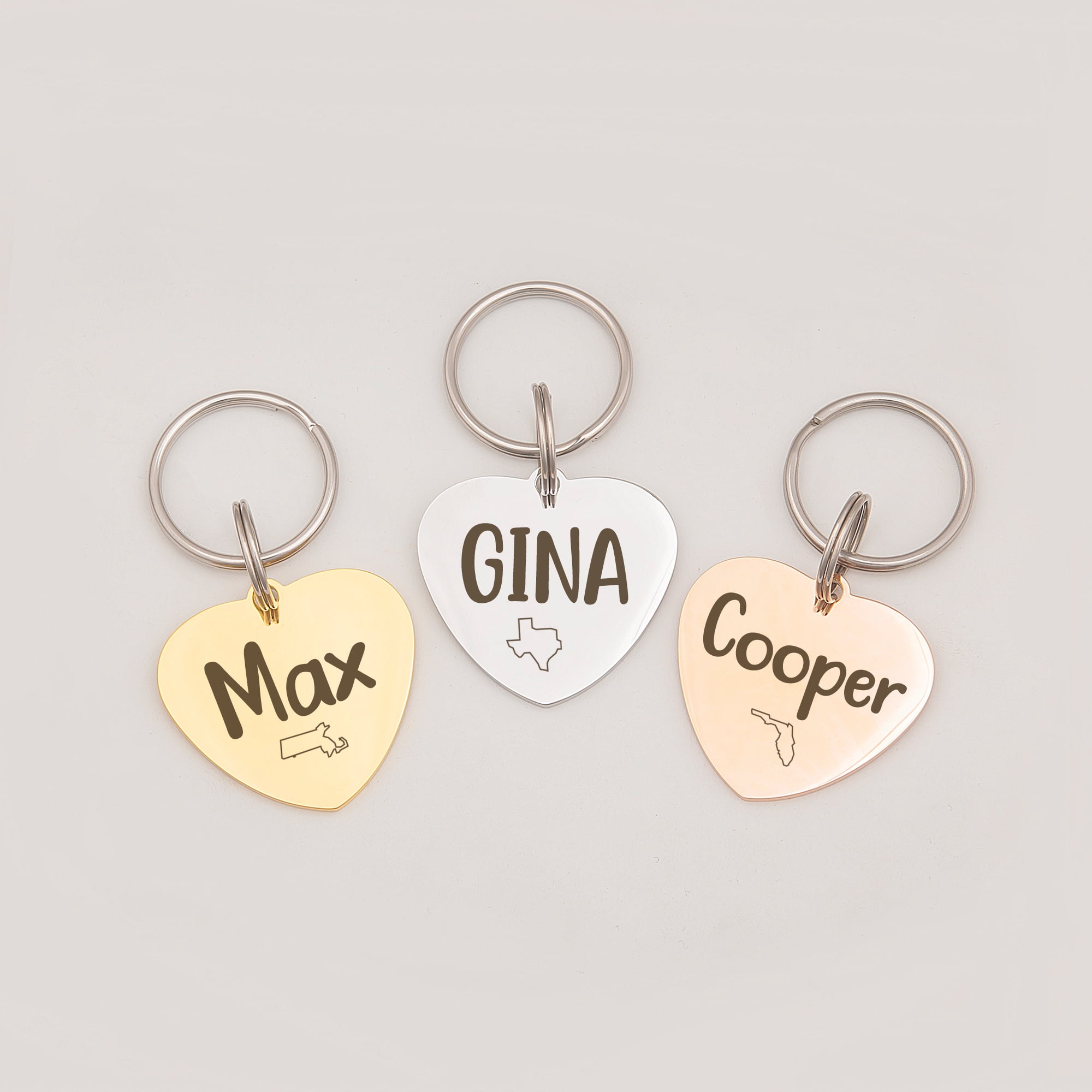 Anavia Stainless Steel Double Sided Heart Name - State Icon - Phone Engraved Dog & Cat ID Tag, Silver, S