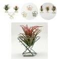 thumbnail image 1 of 3Pcs Decorative Geometric Fern Plant Stand Metal Widely Use Air Plant Stand Holder Bar Decor, 1 of 8