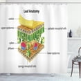 thumbnail image 1 of Ambesonne Science Shower Curtain, Leaf Names Theme, 69"Wx84"L, Multicolor, 1 of 3