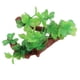 thumbnail image 3 of Decoración de plantas subacuáticas, planta artificial de acuario, pecera de plástico, planta artificial, planta artificial de acuario, diseño exquisito, 3 of 8