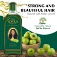 thumbnail image 3 of DABUR Huile Capillaire Amla 200 ml, 3 of 6