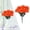 D, variant on Clearance Under $1 Artificial Carnation Pick 7-Fork Carnation Spray For Living Room Vase Filler,Plastic (G) (1Pc)