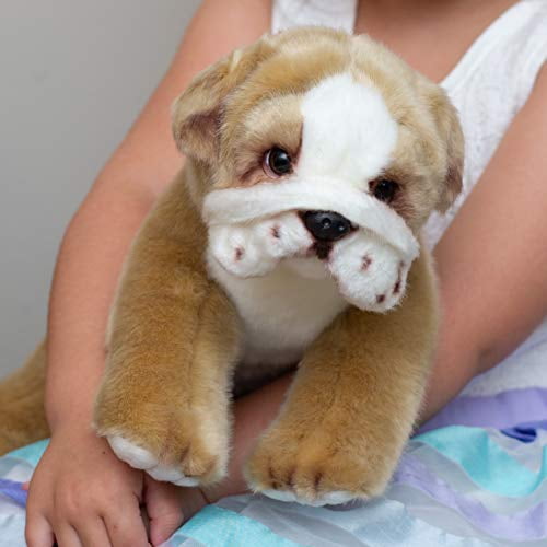 french bulldog plush toy australia