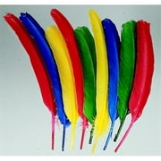 10-12 In. Non-Toxic Long Colored Quill, Pack 100