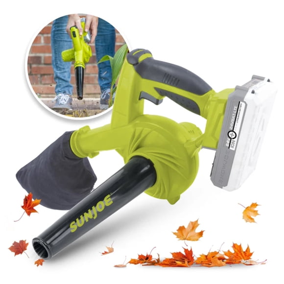24V iON+ Workshop Leaf Blower w/2 x Dust Bags (2.0-Ah Battery and Rapid Charger)