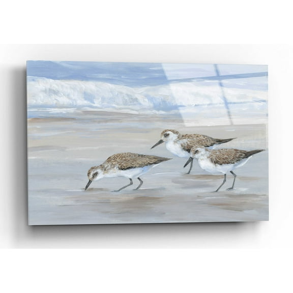 Epic Art 'Sandpipers II' by Tim O'Toole, Acrylic Glass Wall Art, 24"x16"