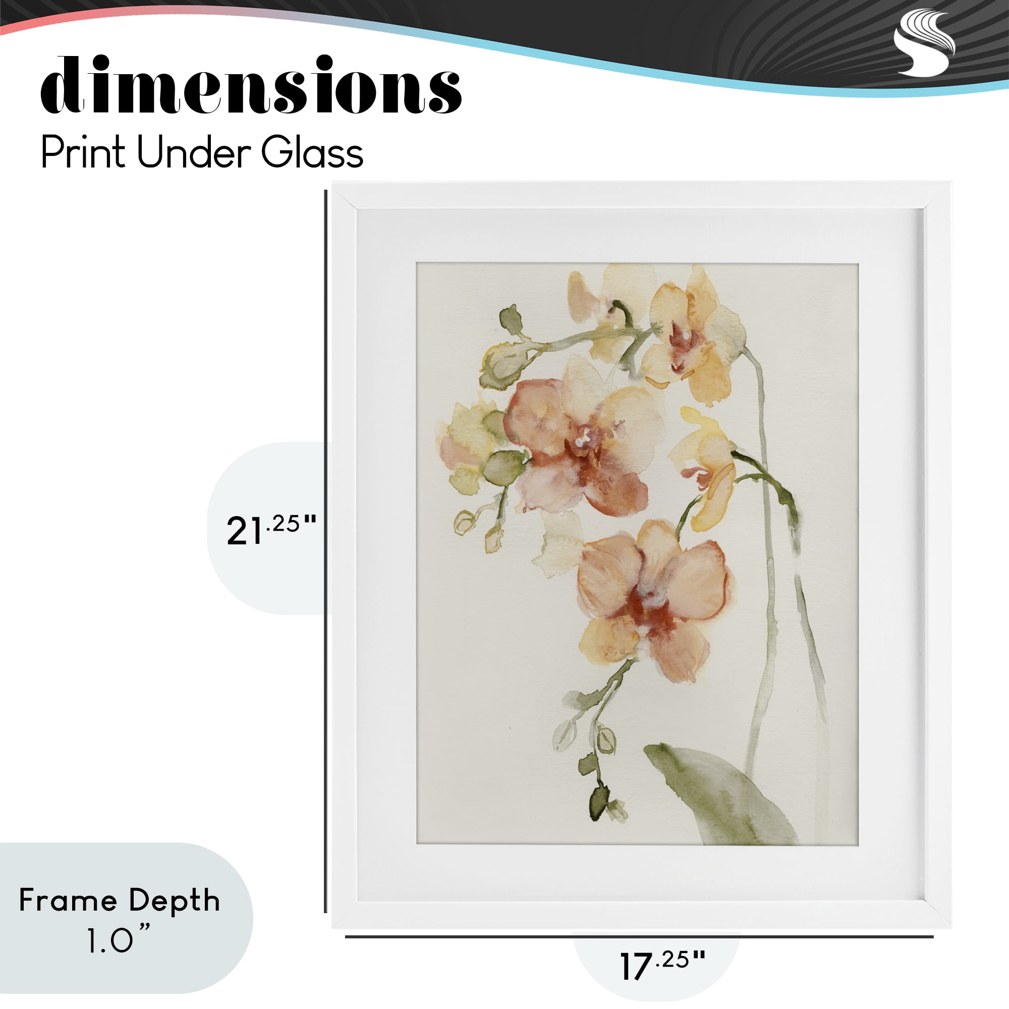Stupell Industries Peach Orchid in Bloom White Framed Print Under Glass, design by Victoria Barnes