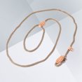 thumbnail image 3 of FUEENIRVA Dog Chains for Outside Use 1Pcs 15.7X0.3X0.3in, 3 of 8