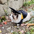 thumbnail image 5 of TELOLY Dog Graduation Cap and Gown Costume Set Adjustable Knit Fabric with Gold Tassel, 4 Sizes (S/M/L/XL) for Small Dogs & Cats to Medium Dogs, Washable Formal Pet Graduation Attire (Black), 5 of 6