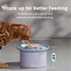 thumbnail image 3 of Ceramic Cat Bowl, Combined Type Elevated Cat Bowl, Whisker Fatigue Cat Bowl, Dishwasher and Microwave Safe, One Elevated Cat Bowl and One Dish, 3 of 4