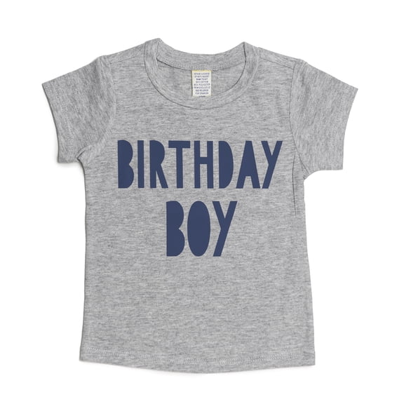 Sweet Wink Birthday Boy Short Sleeve Tee Shirt Cake Smash Grey 18M