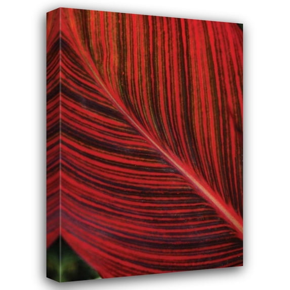 Erin Berzel 31x44 Gallery Wrapped Canvas Wall Art Titled - Red Leaf I