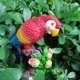 thumbnail image 3 of Figuras de loros estatuas Mini resina artesanía miniatura Micro jardín Paisaje rojo Sharpla Paisaje de micro jardín, 3 of 8