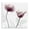Translucent Tulips Minimalist Botanical Floral, variant on Stupell Industries Modern Pink Chic Simple Flowers Black Framed Giclee Art, 12 x 12, by Albert Koetsier