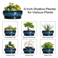 thumbnail image 4 of Ordivic 6 inch Blue Glaze Round Ceramic Bonsai Pot with Drainage Hole & Saucer, Decorative Indoor Planter for Home Living Room Decor, 4 of 8