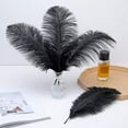 thumbnail image 5 of Black Ostrich Feathers Bulk - 24Pcs 8-10inch Feathers for Crafts,Gatsby and Halloween Party Centerpieces, 5 of 13