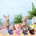 thumbnail image 6 of Crochet Kit Beginners 6 Set Crochet Pom Pom Cute Bunny Rabbit Knitting Kit Easter Day Christmas Birthday Easter Gift Girls, 6 of 7