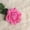 C, variant on Artificial Silk Roses Long Single Stem Artificial Roses for Home Decor Table Centerpiece Arrangement Valentine's Day Gift for Weddings and Home Decor