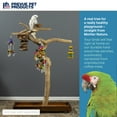 thumbnail image 2 of Prevue Pet Products Coffeawood Java Tree Large Floor Playstand Bird Perch Style Natural Wood #2 Model 22625, 2 of 14