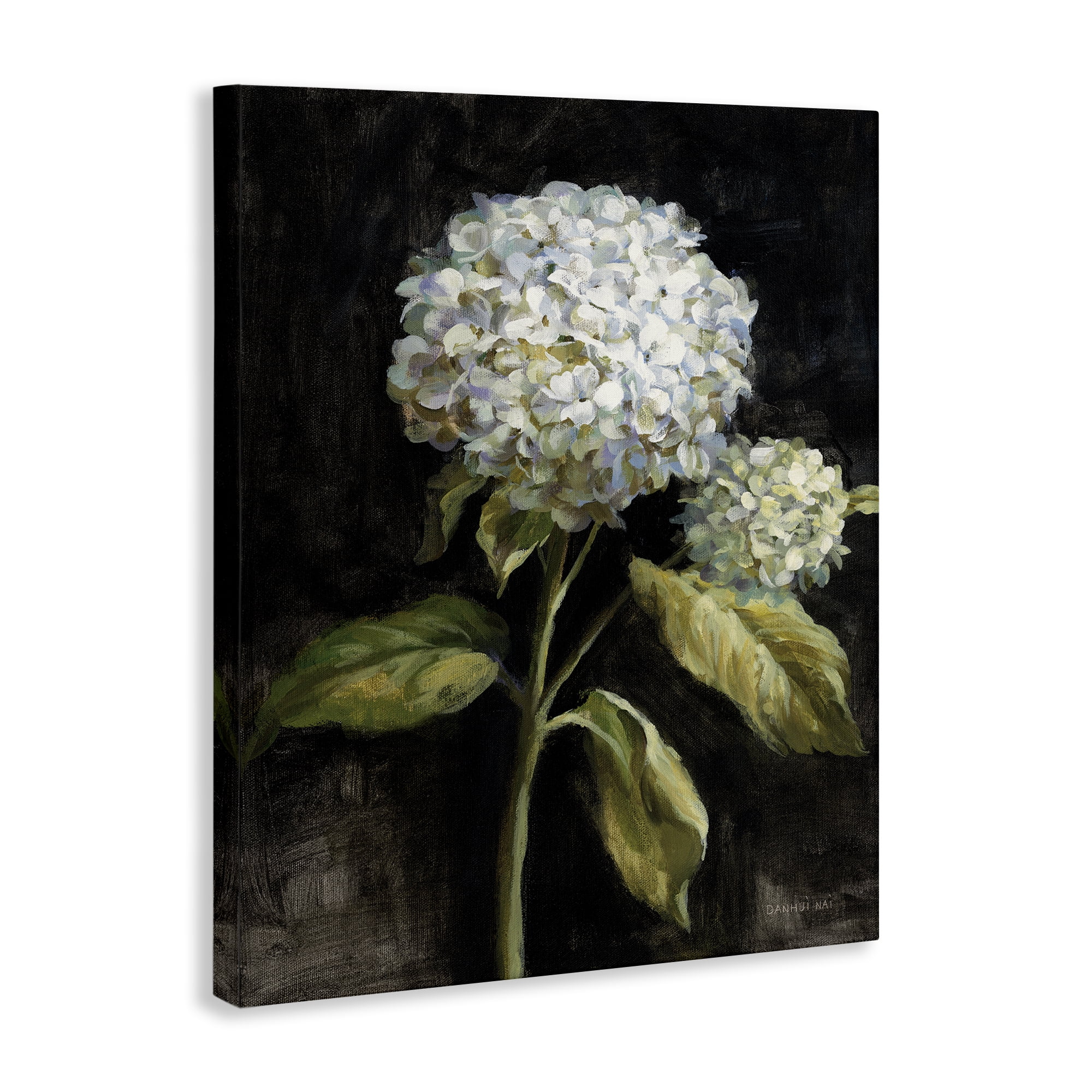 Stupell Industries Hydrangea on Black Plants & Flowers Painting Wrapped Canvas Art Print Wall Art, 36 x 48