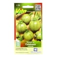 thumbnail image 1 of Semillas Rancho Los Molinos Vita Calabaza Redonda, 1 of 3