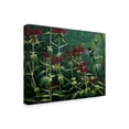 thumbnail image 2 of Trademark Fine Art 'Hummingbird And Monarda' Canvas Art by Wilhelm Goebel, 2 of 3