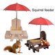 thumbnail image 2 of 1 Set Cob Holder Squirrel Feeder Wooden Squirrel Feeder Creative Shape Stable Structure Smooth Edge Reusable Easy To Refill Corn, 2 of 4