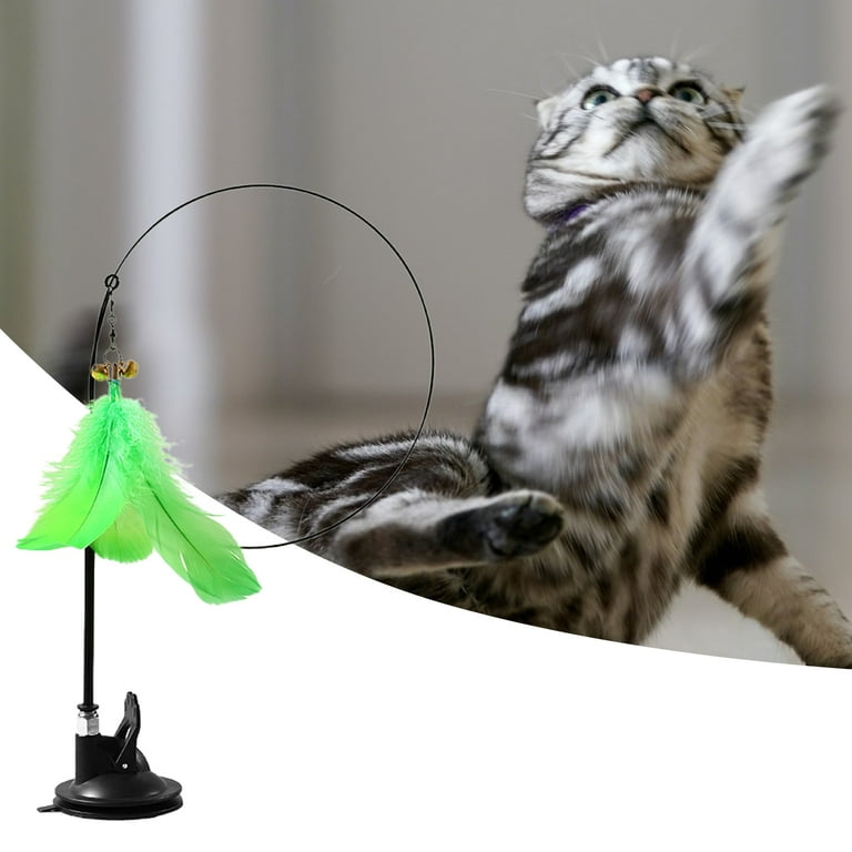 Hamiledyi Suction Cup Cat Toy 13PCS 2 in 1 Cat Wands Interactive Cat  Fishing Rod Kitten Toys- 1 Strong Suction Cups, 2 Durable Cat Wands, 10 Cat