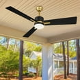 thumbnail image 5 of Dextrus Modern Ceiling Fan With Light and Remote Control & APP Control, 48 Inch 3-Blade Downrod Mount Smart Ceiling Fan - Black & Gold, 5 of 8