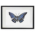 thumbnail image 1 of Cuadro decorativo pintado 100% a mano de mariposa enmarcado con madera y vidrio de la colección AnimalArt, 1 of 3
