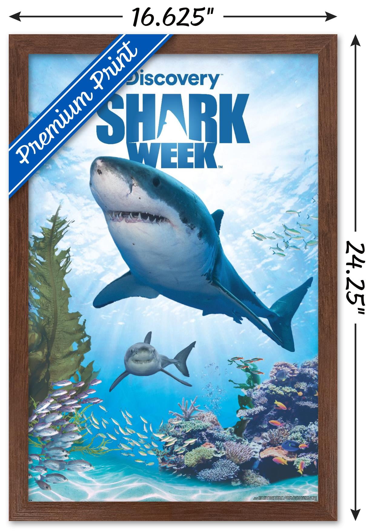 f15240f8-fe75-4cc1-a623-