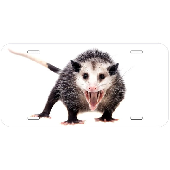 Opossum TAG02 Novelty Car Auto License Plate