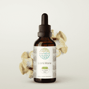 HerbEra Lion's Mane Tincture, Herbal Dietary Supplement for Cognitive Support, Lion's Mane (Hericium erinaceus) Dried Mushroom Extract, Natural, Alcohol-Free, Drops 2 oz