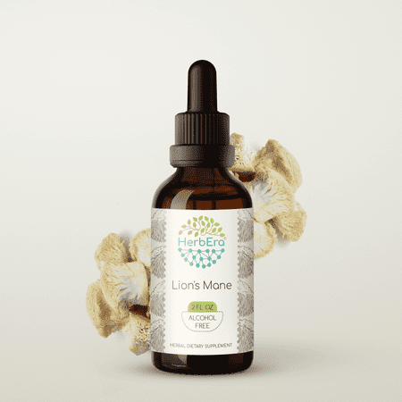 HerbEra Lion's Mane Tincture, Herbal Dietary Supplement for Cognitive Support, Lion's Mane (Hericium erinaceus) Dried Mushroom Extract, Natural, Alcohol-Free, Drops 2 oz