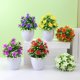 thumbnail image 1 of Planta en maceta de ciruelas artificiales de cinco hojas | Bonsái realista, hojas impermeables, opciones multicolores resistentes al desvanecimiento | 15x10cm | Flor decorativa de plástico para, 1 of 6