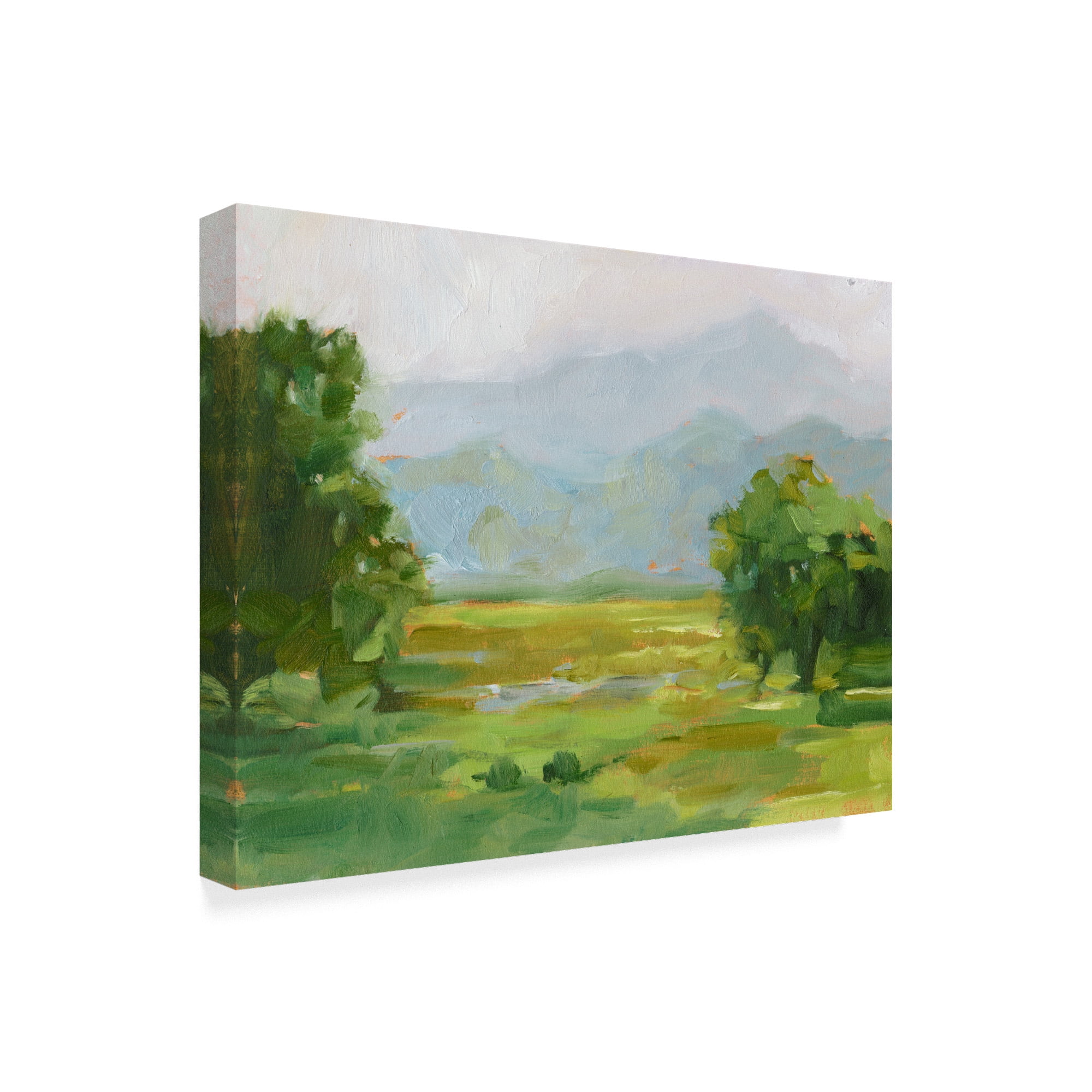 Trademark Fine Art 'Mountain Backdrop III' Canvas Art by Ethan Harper