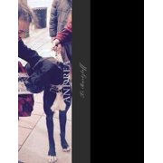 Andrea: Metaphysical Writings