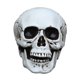 thumbnail image 1 of Accesorios de Calavera de Halloween JanHm Simulación de plástico Decoración 1 Pieza Blanco, 1 of 5