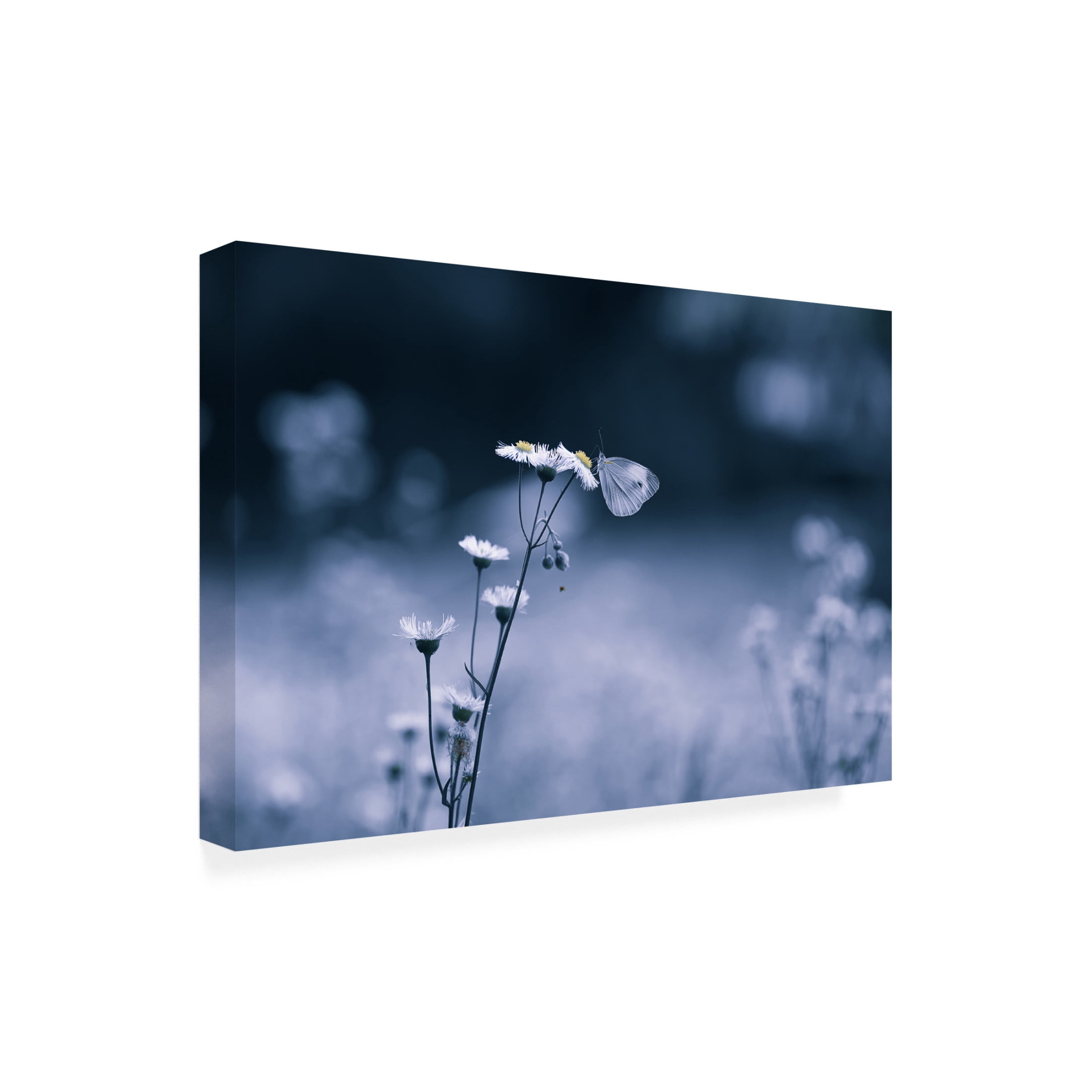 Trademark Fine Art Ivy Deng Small Butterfly Canvas Wall Art