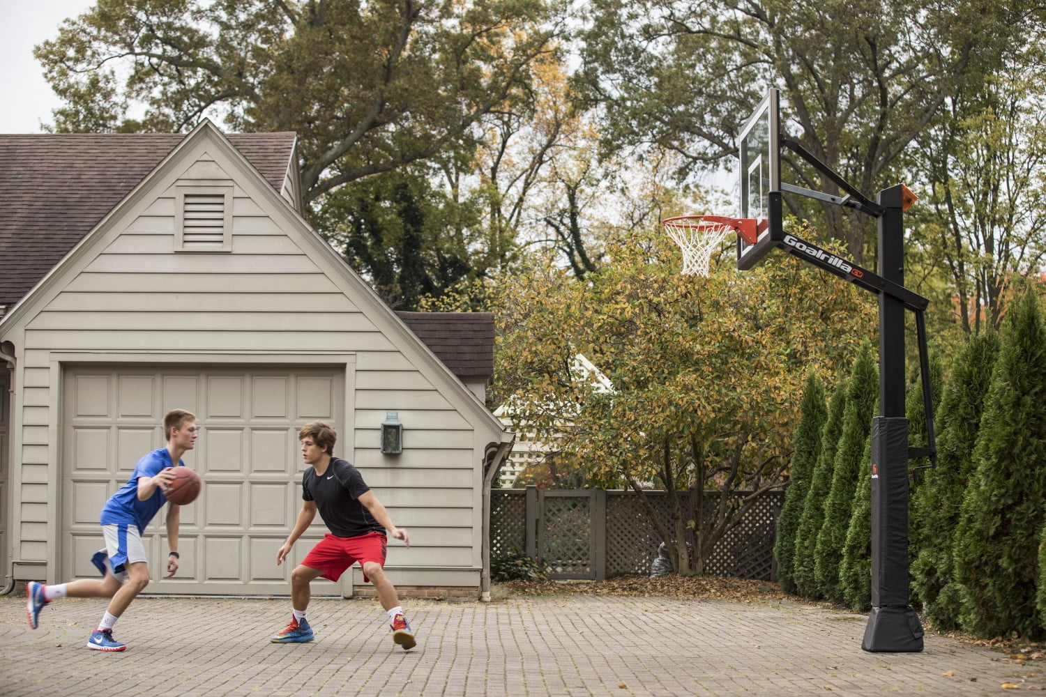 Goalrilla Basketball - Thumbnail 3