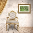 thumbnail image 3 of Paulson, Don 14x11 Gold Ornate Wood Framed with Double Matting Museum Art Print Titled - Washington, Olympic NF Trail through the forest, 3 of 4