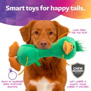 TrustyPup Tough 'N Fun Long Neck Duck Durable Plush Squeaker Dog Toy with Chew Guard Technology, Green, Large