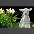 thumbnail image 2 of CafePress - EASTER LAMB AND FLOWERS 2 Maternity T Shirt - Maternity Dark T-Shirt, 2 of 3