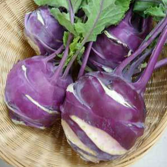 Early White Vienna Kohlrabi - 1 LB Bulk ~112,000 Seeds - Open Pollinated, Non-GMO, Farm & Vegetable Gardening & Micro Greens Seeds