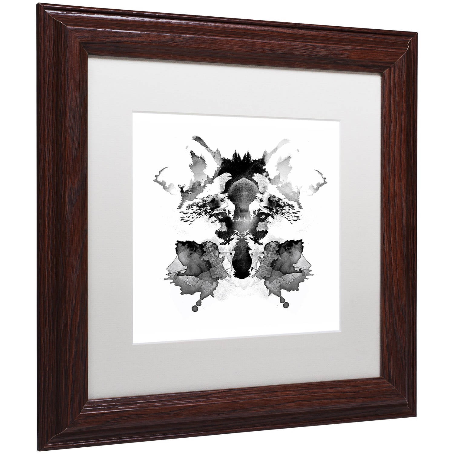 Trademark Fine Art 'Rorschach' Canvas Art by Robert Farkas, White Matte, Wood Frame